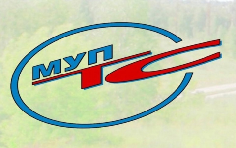 МУП ТС прием показаний